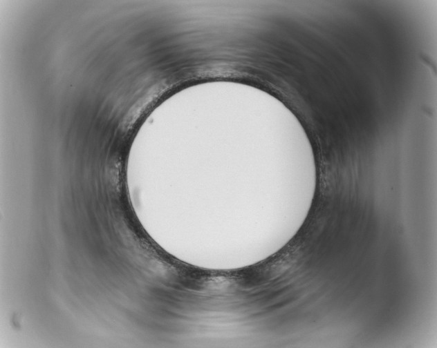 X0000103490111200810101032