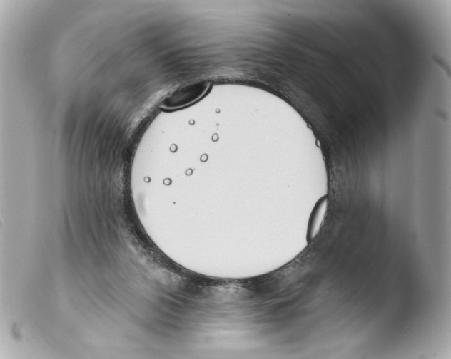 X0000103490112200810101032