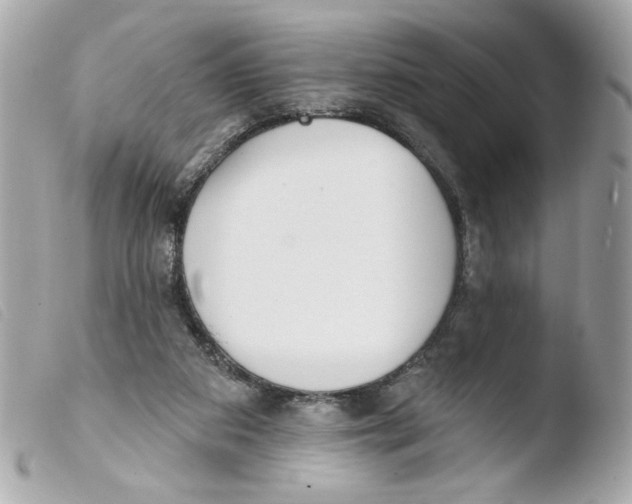X0000103490113200810101032