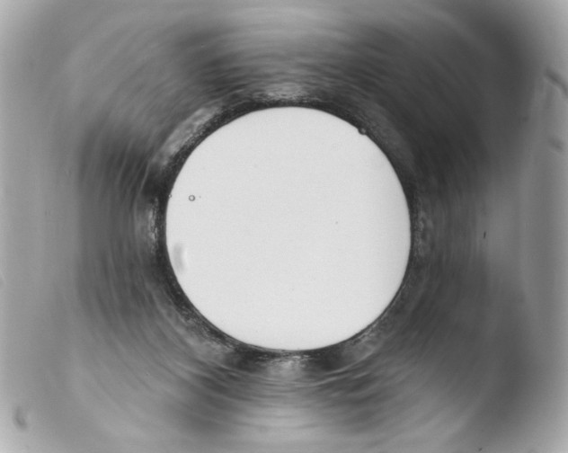 X0000103490116200810101032