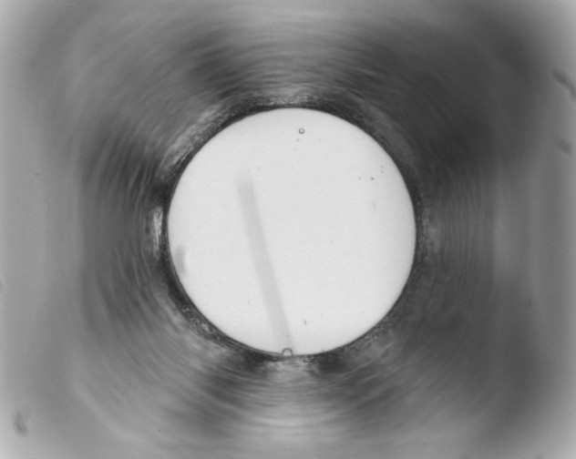 X0000103490118200810101032