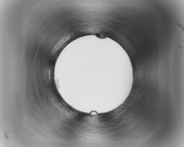 X0000103490120200810101032