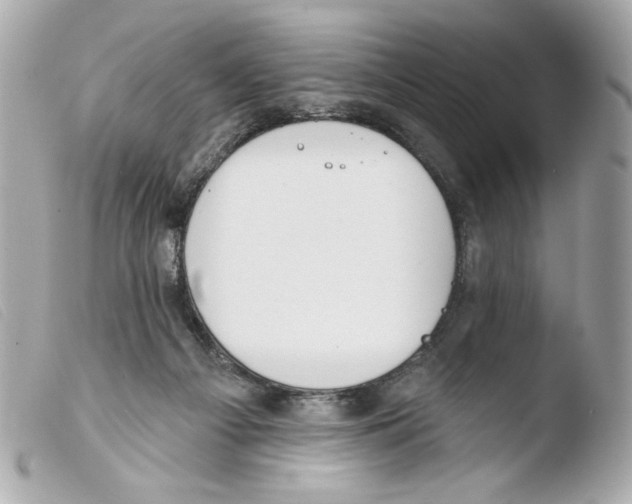 X0000103490121200810101032