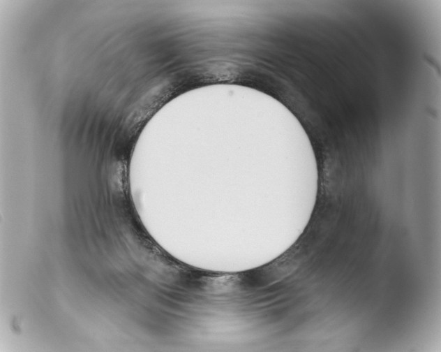 X0000103490122200810101032