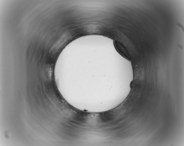 X0000103490124200810101032