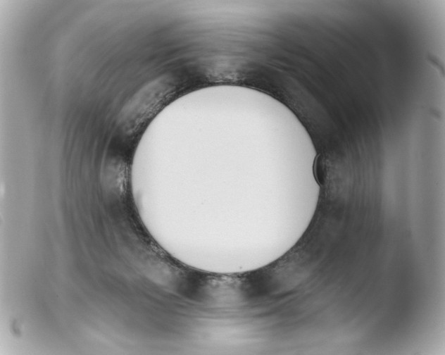 X0000103490125200810101032