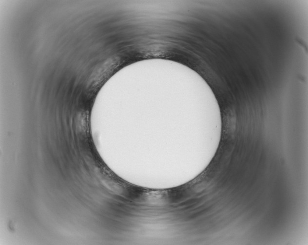 X0000103490126200810101032