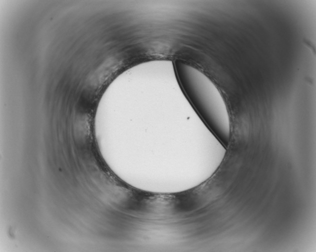 X0000103490128200810101032