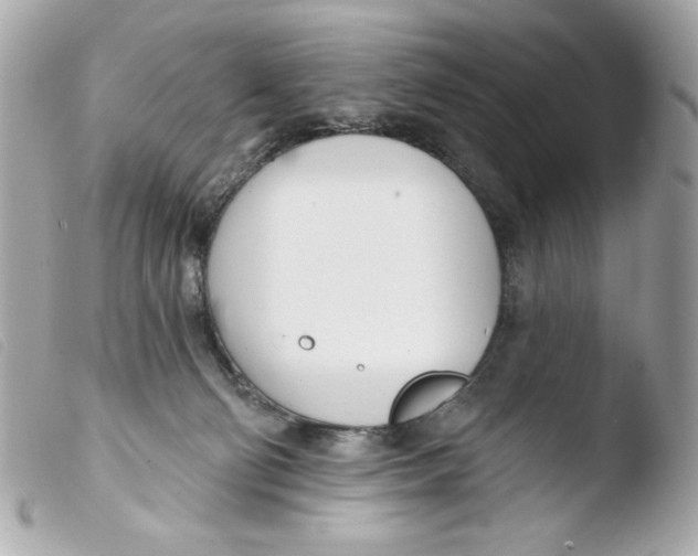 X0000103490130200810101032