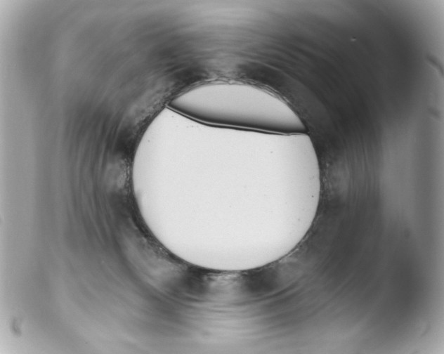 X0000103490132200810101032