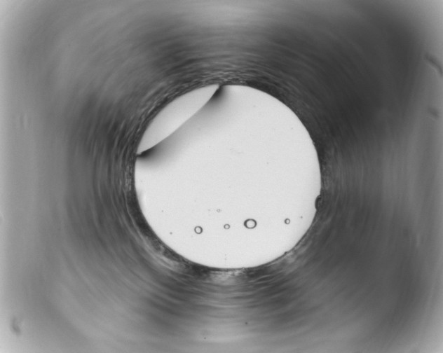 X0000103490136200810101032