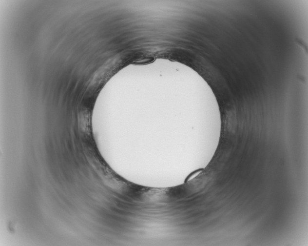 X0000103490138200810101032