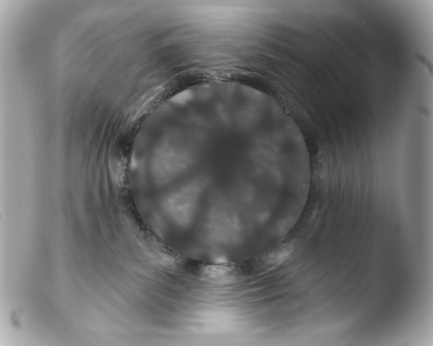 X0000103490139200810101032