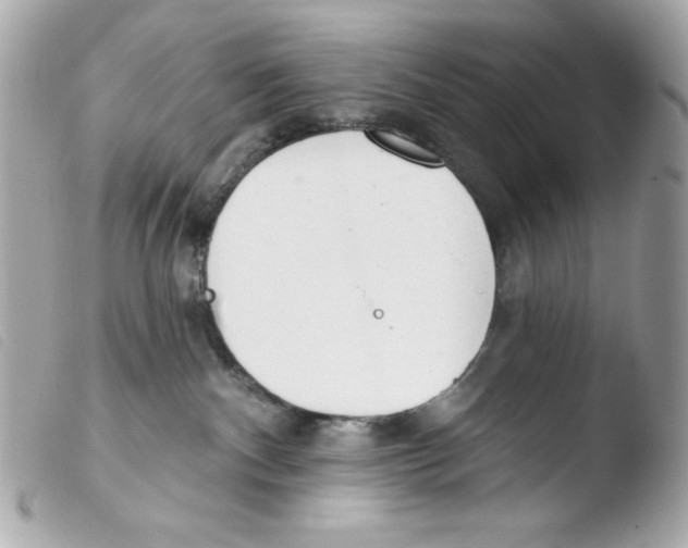 X0000103490140200810101032