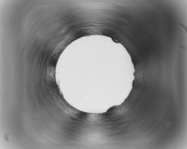 X0000103490141200810101032