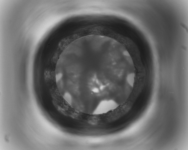 X0000103490143200810101032