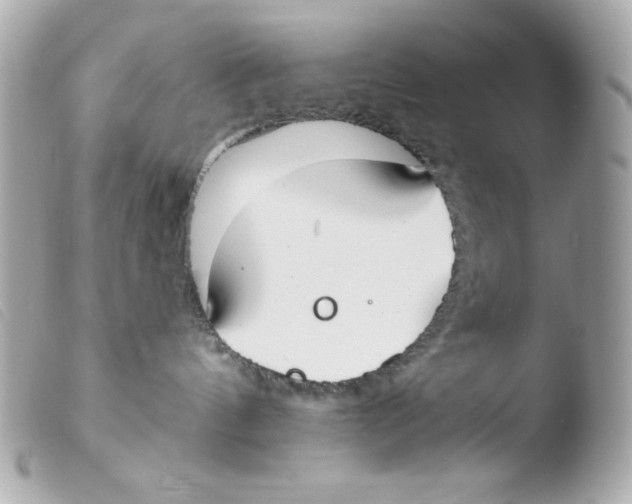 X0000103490144200810101032