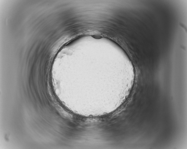 X0000103490145200810101031