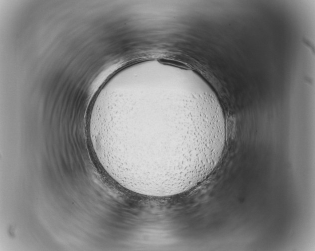 X0000103490147200810101031