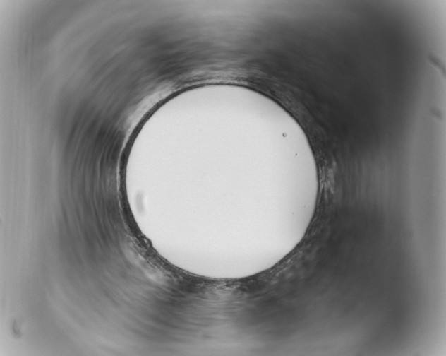 X0000103490148200810101031