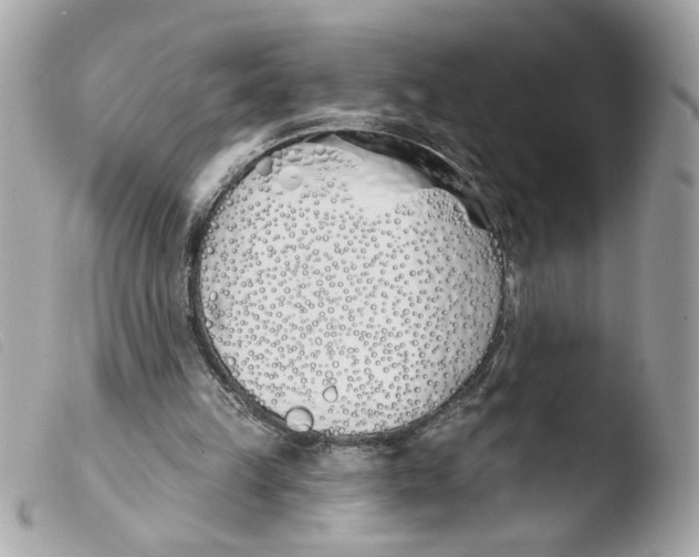 X0000103490149200810101031