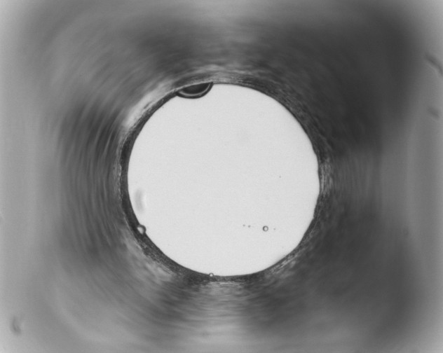 X0000103490150200810101031