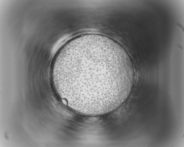 X0000103490151200810101031
