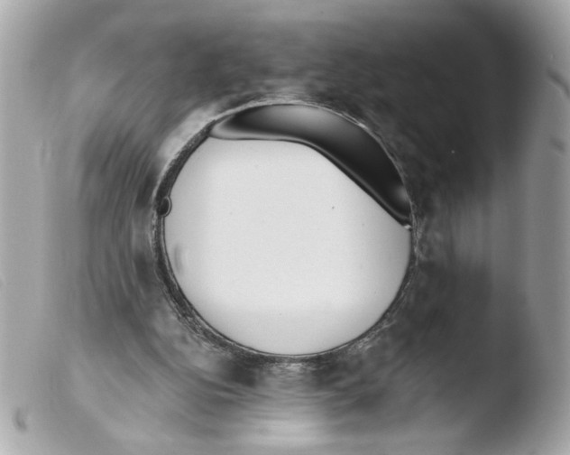 X0000103490152200810101031