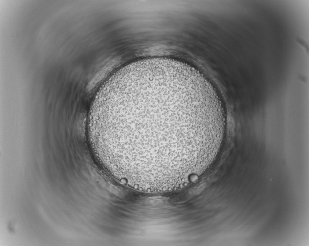 X0000103490153200810101031