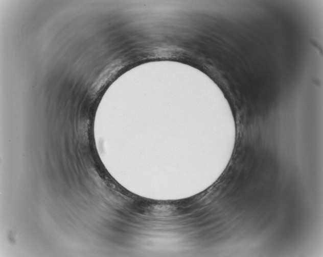 X0000103490154200810101031
