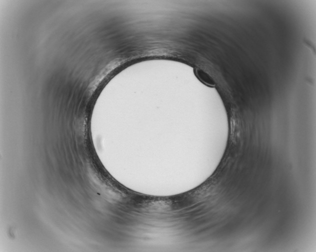 X0000103490156200810101031