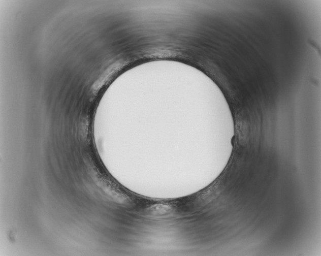 X0000103490159200810101031