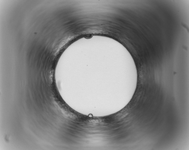 X0000103490160200810101031