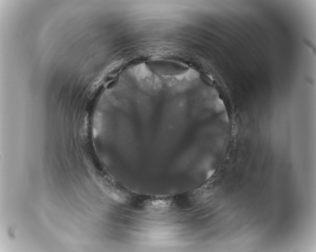 X0000103490163200810101031