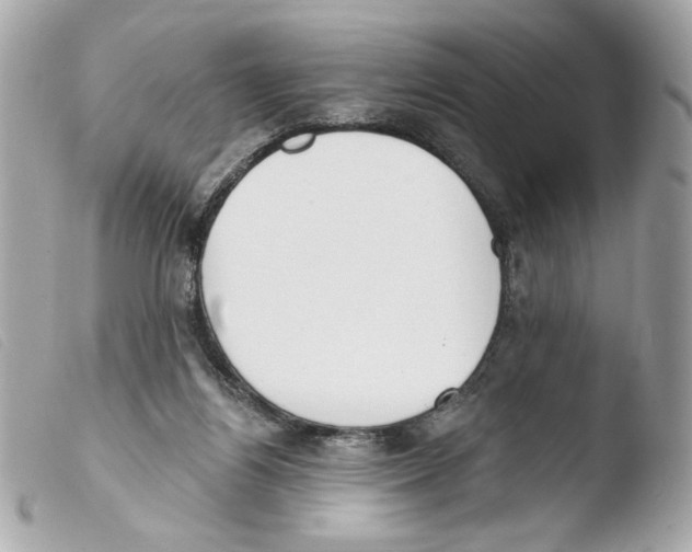 X0000103490164200810101031