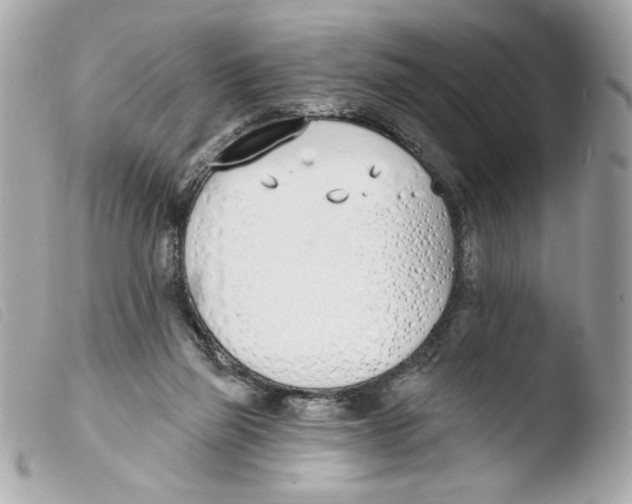 X0000103490165200810101031