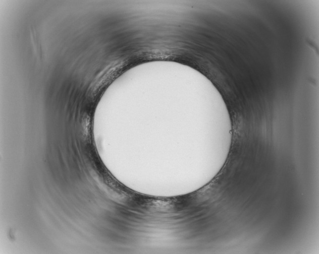 X0000103490166200810101031