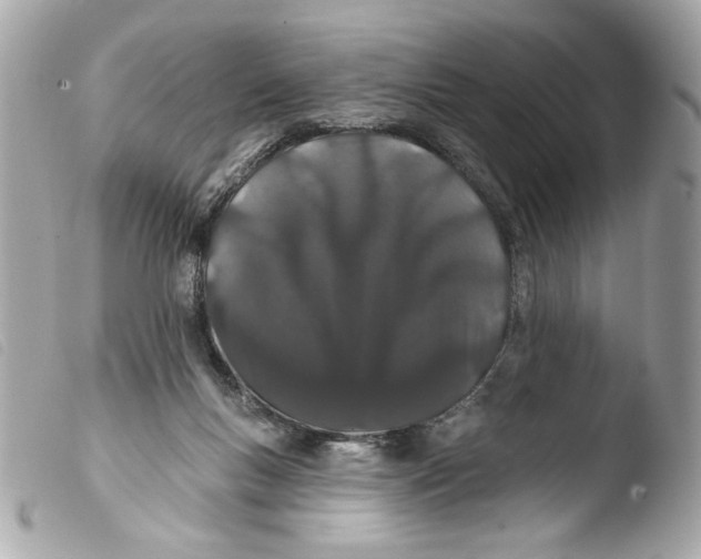 X0000103490167200810101031