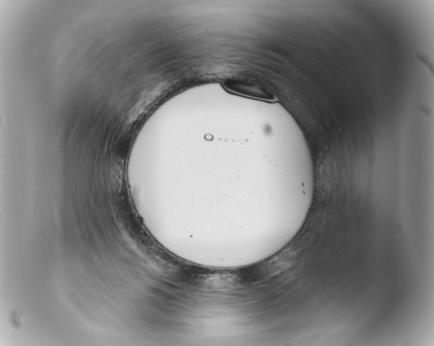 X0000103490168200810101031