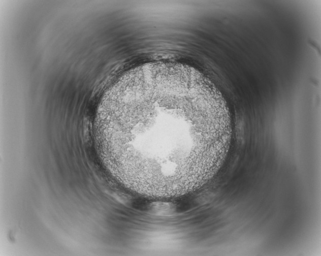X0000103490169200810101031