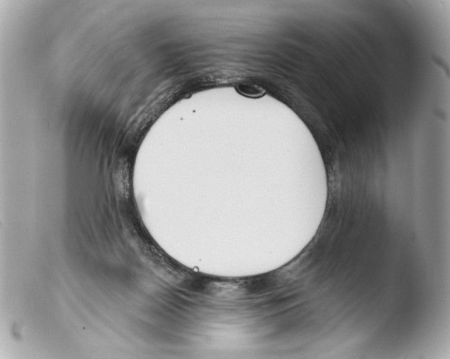 X0000103490170200810101031