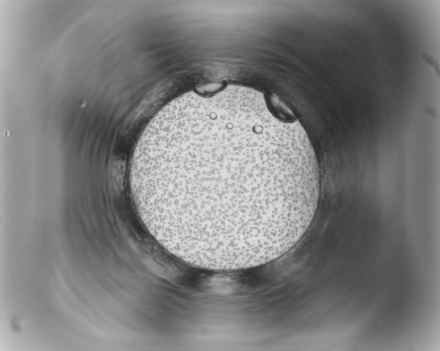 X0000103490171200810101031