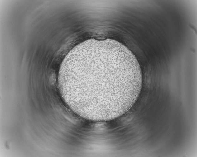X0000103490173200810101031