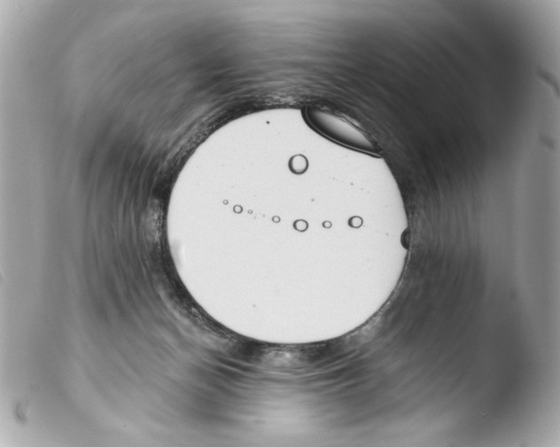 X0000103490174200810101031