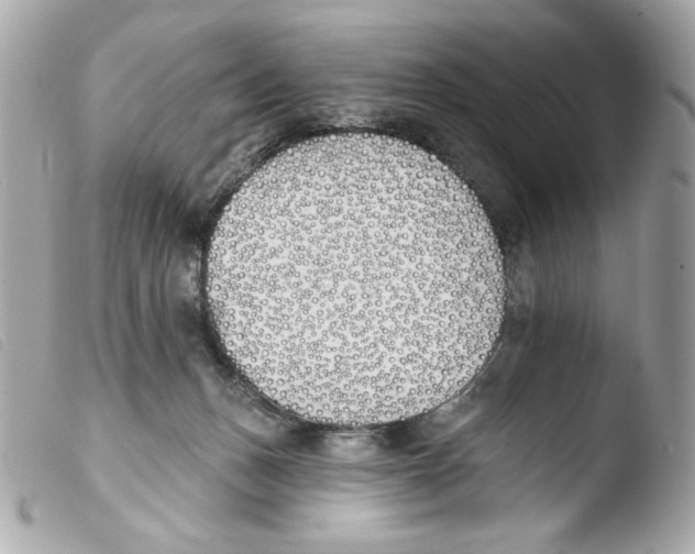 X0000103490175200810101031