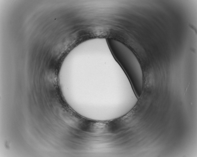 X0000103490176200810101031