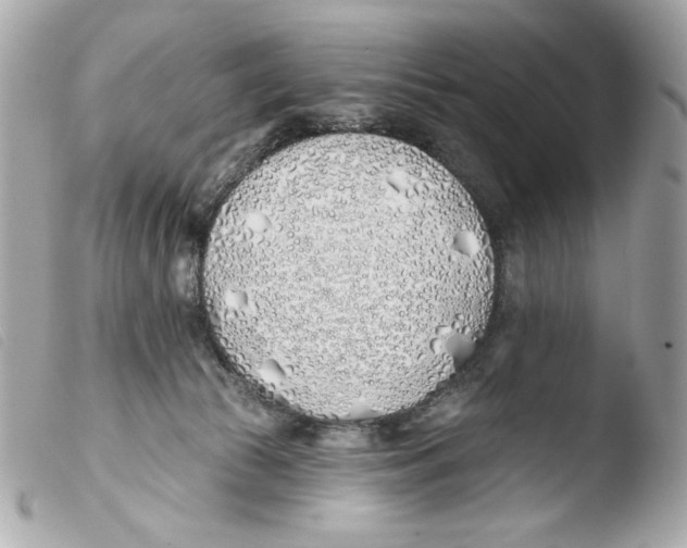 X0000103490177200810101031