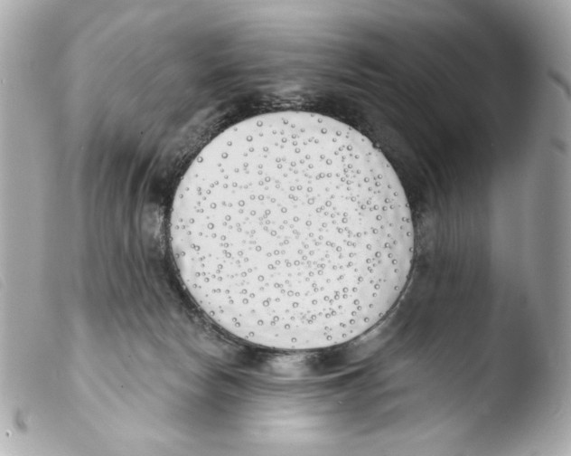 X0000103490178200810101031