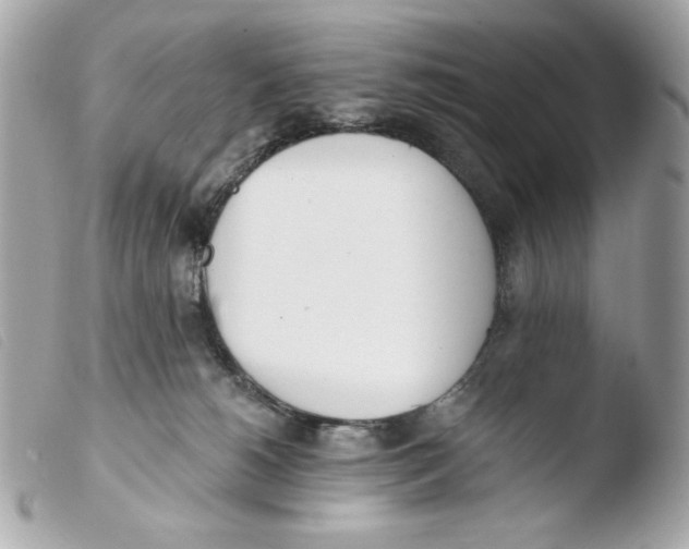 X0000103490180200810101031
