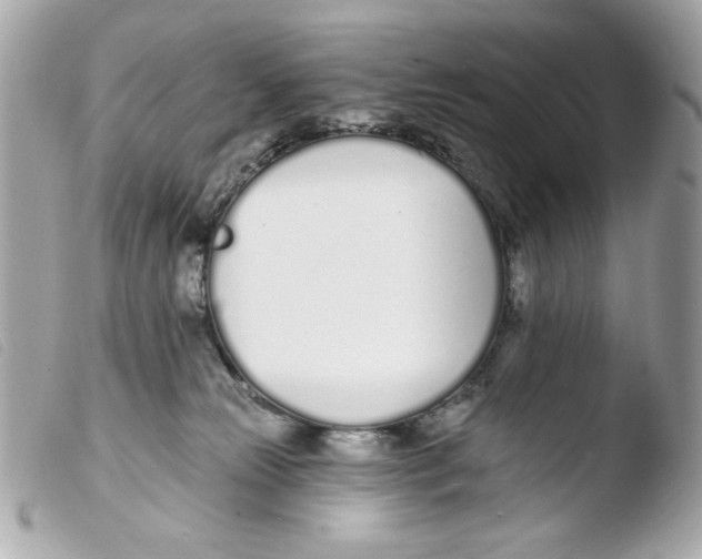 X0000103490181200810101031